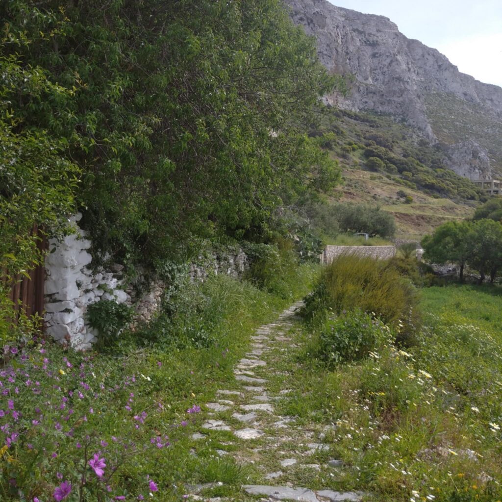 Amorgos: The ideal retreat destination | Imagine Greece Retreats