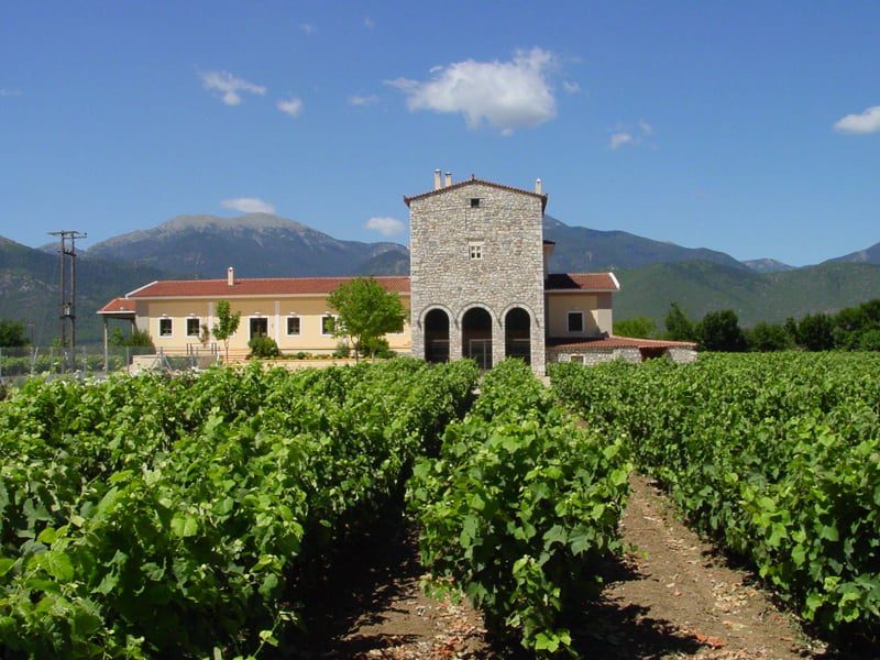 Eco friendly retreat venue | Imagine Greece Retreats Wine tours