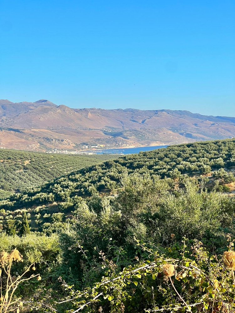 Idyllic Hilltop Sanctuary | Imagine Greece Retreats