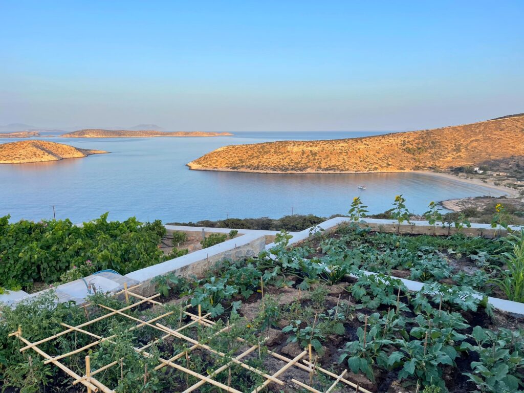 Serenity in the Small Cyclades | Imagine Greece Retreats