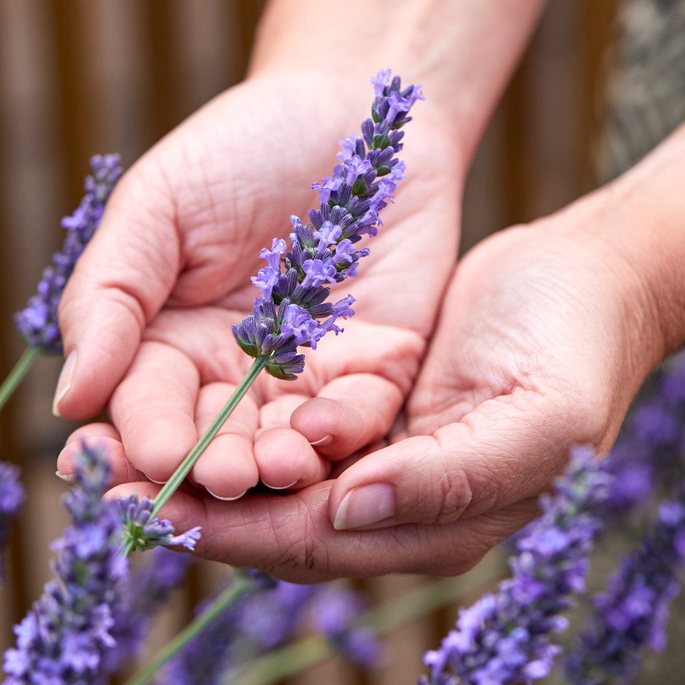 Eco friendly retreat venue | Imagine Greece Retreats aromatotherapy workshop